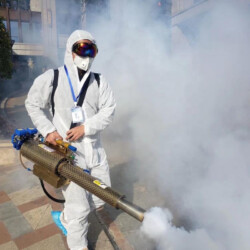 مكافحة الحشرات الزاحفة و الطائرة بواسطة شركة الهلال للخدمات الفندقية