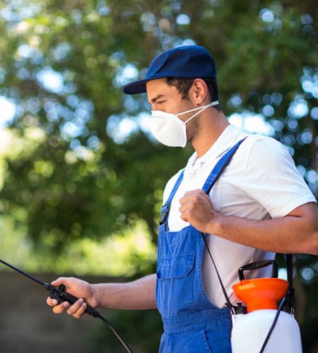 abt_img مكافحة الحشرات الزاحفة و الطائرة بواسطة شركة الهلال للخدمات الفندقية
