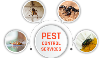 pest-control-services خدمات مكافحة الحشرات و القوارض و الآفات الضارة من شركة الهلال للخدمات الفندقية